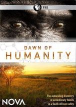 dawn-of-humanity